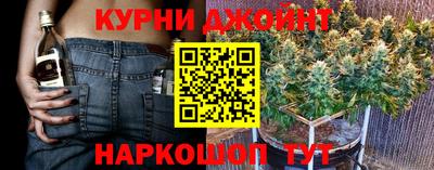 ECSTASY Новозыбков